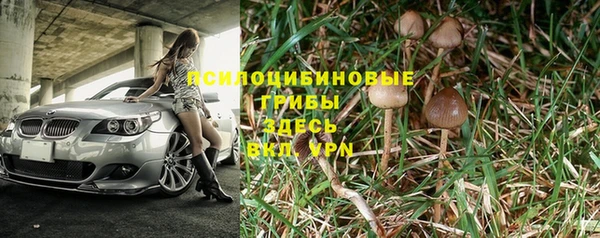 крисы Щигры