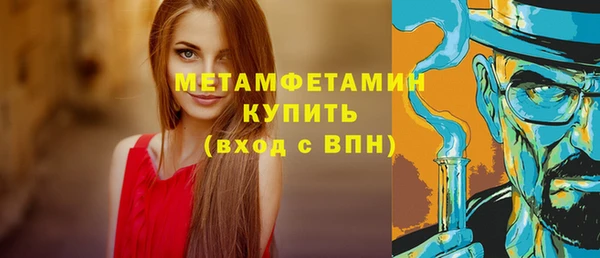 крисы Козловка