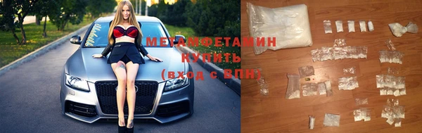 крисы Козловка