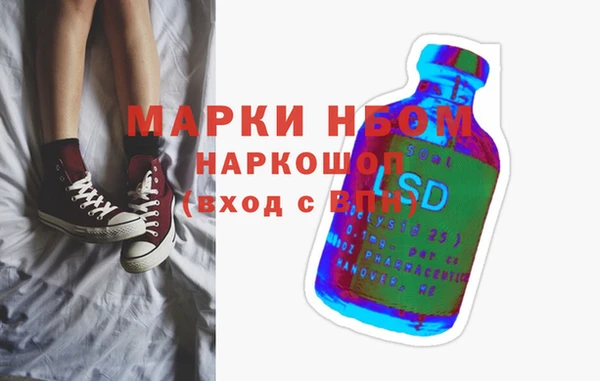 амф Щёлкино