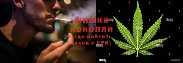 крисы Козловка