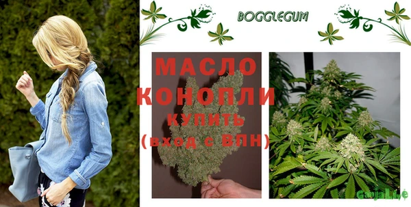 крисы Козловка