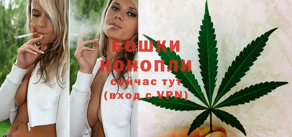 Альфа ПВП Щучье