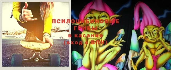 крисы Козловка