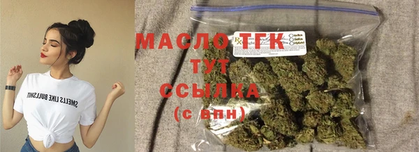 крисы Козловка