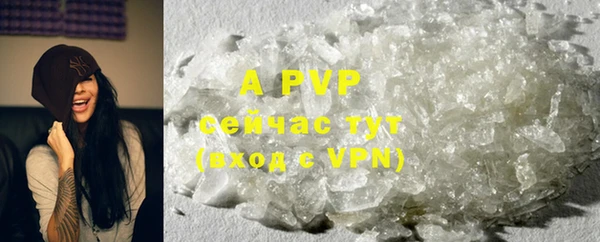 крисы Козловка