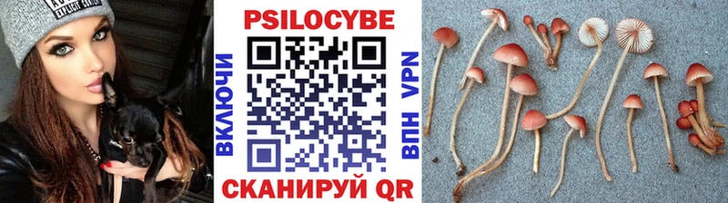 Купить где  Наволоки  Галлюциногенные грибы ЛСД 